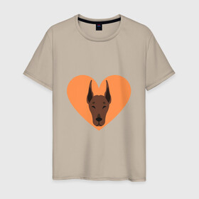 Мужская футболка хлопок с принтом Сердечный Доберман в Белгороде, 100% хлопок | прямой крой, круглый вырез горловины, длина до линии бедер, слегка спущенное плечо. | доберман | животное | клыки | коричневый | красный | лапы | любовь | оранжевый | пес | питомец | подарок | сердце | собака | улыбка | шерсть | щенок