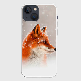 Чехол для iPhone 13 mini с принтом Лиса и снег в Белгороде,  |  | fox | foxy | животные | звери | зима | зимняя | лиса | лисичка | лисы | природа | снег | снежная