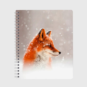 Тетрадь с принтом Лиса и снег в Белгороде, 100% бумага | 48 листов, плотность листов — 60 г/м2, плотность картонной обложки — 250 г/м2. Листы скреплены сбоку удобной пружинной спиралью. Уголки страниц и обложки скругленные. Цвет линий — светло-серый
 | fox | foxy | животные | звери | зима | зимняя | лиса | лисичка | лисы | природа | снег | снежная