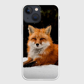 Чехол для iPhone 13 mini с принтом Лиса и снег в Белгороде,  |  | fox | foxy | животные | звери | зима | зимняя | лиса | лисичка | лисы | природа | снег | снежная