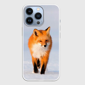 Чехол для iPhone 13 Pro с принтом FOX AND SNOW в Белгороде,  |  | fox | foxy | животные | звери | зима | зимняя | лиса | лисичка | лисы | природа | снег | снежная