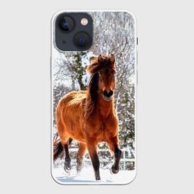 Чехол для iPhone 13 mini с принтом Конь и снег в Белгороде,  |  | животные | звери | зима | кони | конь | коняшка | лошади | лошадка | лошадь | пони | природа | снег