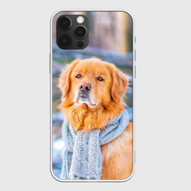 Чехол для iPhone 12 Pro Max с принтом Золотистый Ретривер в Белгороде, Силикон |  | Тематика изображения на принте: dog | животные | золотистый | золотой | пес | природа | ретривер | собака | собаки | собакчка | собачки