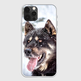 Чехол для iPhone 12 Pro Max с принтом Сибирский Хаски в Белгороде, Силикон |  | Тематика изображения на принте: dog | животные | зима | пес | природа | сибирский | снег | собака | собаки | собакчка | собачки | хаски