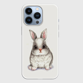 Чехол для iPhone 13 Pro с принтом зайка в Белгороде,  |  | животные | зайка | заяц | звери | зевающий кот | кися | кот | котенок | котики | коты | кричащий кот | кролик | минимализм | питомцы | прикольные картинки