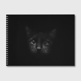 Альбом для рисования с принтом черный кот в Белгороде, 100% бумага
 | матовая бумага, плотность 200 мг. | Тематика изображения на принте: животные | зайка | заяц | звери | зевающий кот | кися | кот | котенок | котики | коты | кричащий кот | кролик | минимализм | питомцы | прикольные картинки