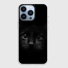 Чехол для iPhone 13 Pro с принтом черный кот в Белгороде,  |  | животные | зайка | заяц | звери | зевающий кот | кися | кот | котенок | котики | коты | кричащий кот | кролик | минимализм | питомцы | прикольные картинки