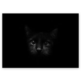 Поздравительная открытка с принтом черный кот в Белгороде, 100% бумага | плотность бумаги 280 г/м2, матовая, на обратной стороне линовка и место для марки
 | животные | зайка | заяц | звери | зевающий кот | кися | кот | котенок | котики | коты | кричащий кот | кролик | минимализм | питомцы | прикольные картинки