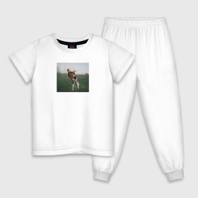 Детская пижама хлопок с принтом Собака в Белгороде, 100% хлопок |  брюки и футболка прямого кроя, без карманов, на брюках мягкая резинка на поясе и по низу штанин
 | dog | собака | собаки | собачка | щенок | щенята