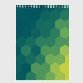 Скетчбук с принтом Hexagon в Белгороде, 100% бумага
 | 48 листов, плотность листов — 100 г/м2, плотность картонной обложки — 250 г/м2. Листы скреплены сверху удобной пружинной спиралью | орнамент | текстуры | узор | шестиугольник