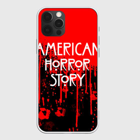 Чехол для iPhone 12 Pro Max с принтом American Horror Story в Белгороде, Силикон |  | american horror story | netflix | американ хоррор стори | американская история ужасов | драма | загадочные события | кино | мини сериал | нетфликс | очень странные дела | сериалы | триллер | ужасы | фантастика