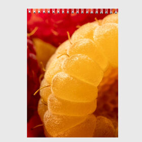 Скетчбук с принтом Малина в Белгороде, 100% бумага
 | 48 листов, плотность листов — 100 г/м2, плотность картонной обложки — 250 г/м2. Листы скреплены сверху удобной пружинной спиралью | еда | жёлтая | жёлтые | красная | красные | малина | малинка | природа | растение | растения | ягода | ягодки | ягоды