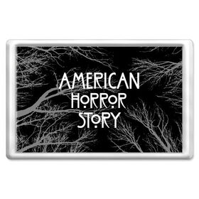 Магнит 45*70 с принтом American Horror Story. в Белгороде, Пластик | Размер: 78*52 мм; Размер печати: 70*45 | american horror story | netflix | американ хоррор стори | американская история ужасов | драма | загадочные события | кино | мини сериал | нетфликс | очень странные дела | сериалы | триллер | ужасы | фантастика