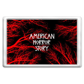 Магнит 45*70 с принтом American Horror Story. в Белгороде, Пластик | Размер: 78*52 мм; Размер печати: 70*45 | american horror story | netflix | американ хоррор стори | американская история ужасов | драма | загадочные события | кино | мини сериал | нетфликс | очень странные дела | сериалы | триллер | ужасы | фантастика