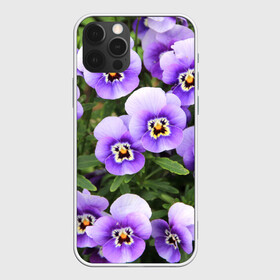 Чехол для iPhone 12 Pro с принтом Анютины глазки в Белгороде, силикон | область печати: задняя сторона чехла, без боковых панелей | flowers | анютины глазки | природа | природный | растение | растения | цветок | цветочек | цветочки | цветы