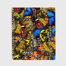 Тетрадь с принтом Ночные Бабочки в Белгороде, 100% бумага | 48 листов, плотность листов — 60 г/м2, плотность картонной обложки — 250 г/м2. Листы скреплены сбоку удобной пружинной спиралью. Уголки страниц и обложки скругленные. Цвет линий — светло-серый
 | animals | butterfly | pattern | акварель | бабочка | бабочки | животные | крылышки | крылья | насекомые | ночные бабочки | паттерн | рисунок | тропические бабочки | цветные бабочки