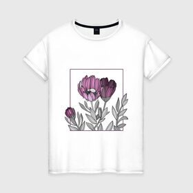 Женская футболка хлопок с принтом Цветы в рамке в Белгороде, 100% хлопок | прямой крой, круглый вырез горловины, длина до линии бедер, слегка спущенное плечо | графика | линии | рамка | растение | ртуть | цветы