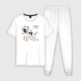 Мужская пижама хлопок с принтом Французский бульдог funny pet в Белгороде, 100% хлопок | брюки и футболка прямого кроя, без карманов, на брюках мягкая резинка на поясе и по низу штанин
 | Тематика изображения на принте: bulldog | dog | french bulldog | funny | honey | pet | бульдог | бульдожка | девушкам | забавный | инструкция | кутенок | милый | пес | песик | питомцы | прикольный | пушистый | сердечко | смешной | собака