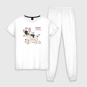 Женская пижама хлопок с принтом Французский бульдог funny pet в Белгороде, 100% хлопок | брюки и футболка прямого кроя, без карманов, на брюках мягкая резинка на поясе и по низу штанин | Тематика изображения на принте: bulldog | dog | french bulldog | funny | honey | pet | бульдог | бульдожка | девушкам | забавный | инструкция | кутенок | милый | пес | песик | питомцы | прикольный | пушистый | сердечко | смешной | собака