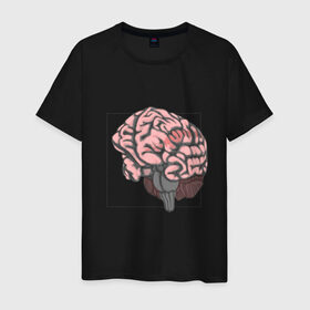 Мужская футболка хлопок с принтом Мозг в Белгороде, 100% хлопок | прямой крой, круглый вырез горловины, длина до линии бедер, слегка спущенное плечо. | анатомия | мозг | мысли | рамка | ум | цвет