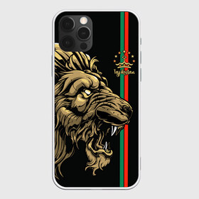 Чехол для iPhone 12 Pro Max с принтом Таджикистан в Белгороде, Силикон |  | crown | evil | golden | islam | lion | republic | stars | tajikistan | звезды | злой | золотой | ислам | корона | лев | республика | таджикистан