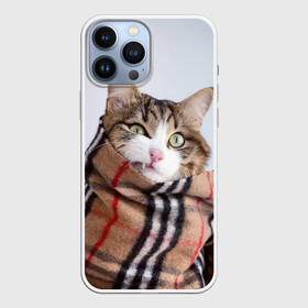 Чехол для iPhone 13 Pro Max с принтом Кот в шарфе в Белгороде,  |  | Тематика изображения на принте: cat | животные | звири | кис | киска | кот | котейка | котик | коты | котяра | кошка | кошки | природа
