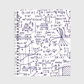 Тетрадь с принтом Формулы в Белгороде, 100% бумага | 48 листов, плотность листов — 60 г/м2, плотность картонной обложки — 250 г/м2. Листы скреплены сбоку удобной пружинной спиралью. Уголки страниц и обложки скругленные. Цвет линий — светло-серый
 | алгебра | математика | математические формулы | наука | научные формулы | формулы