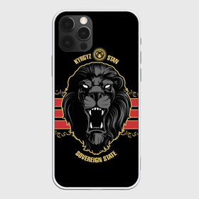 Чехол для iPhone 12 Pro Max с принтом Казахстан в Белгороде, Силикон |  | crown | eagle | islam | kazakhstan | king | lion | republic | sun | ислам | казахстан | король | корона | лев | орел | республика | солнце | царь