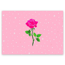 Поздравительная открытка с принтом Роза на розовом в Белгороде, 100% бумага | плотность бумаги 280 г/м2, матовая, на обратной стороне линовка и место для марки
 | женственно | красота | роза | розовый | снежинки | фуксия | цветок | шик