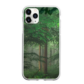 Чехол для iPhone 11 Pro Max матовый с принтом Тропический лес в Белгороде, Силикон |  | деревья | джунгли | зеленый лес | зелень | лес | тропики | тропический лес