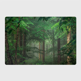 Магнитный плакат 3Х2 с принтом Тропический лес в Белгороде, Полимерный материал с магнитным слоем | 6 деталей размером 9*9 см | деревья | джунгли | зеленый лес | зелень | лес | тропики | тропический лес