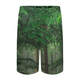 Детские спортивные шорты 3D с принтом Тропический лес в Белгороде,  100% полиэстер
 | пояс оформлен широкой мягкой резинкой, ткань тянется
 | деревья | джунгли | зеленый лес | зелень | лес | тропики | тропический лес