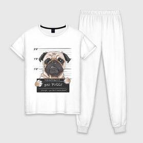 Женская пижама хлопок с принтом Bad Puggy в Белгороде, 100% хлопок | брюки и футболка прямого кроя, без карманов, на брюках мягкая резинка на поясе и по низу штанин | animal | art | dog | nameplate | pug | арт | животное | мопс | собака | табличка
