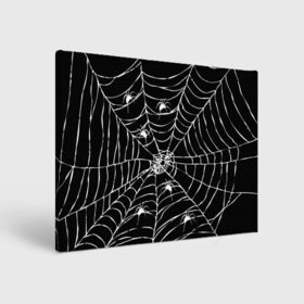 Холст прямоугольный с принтом Паутина с пауками в Белгороде, 100% ПВХ |  | black and white | darkness | halloween | horror | night | spider | web | готика | жуки | жуткий | мальчикам | насекомые | нечисть | нити | ночные | ночь | пауки | паутина | подарок | сетка | страшный | темный | тьма | хеллоуин | хоррор