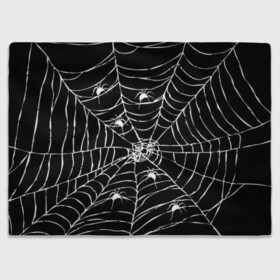 Плед 3D с принтом Паутина с пауками в Белгороде, 100% полиэстер | закругленные углы, все края обработаны. Ткань не мнется и не растягивается | black and white | darkness | halloween | horror | night | spider | web | готика | жуки | жуткий | мальчикам | насекомые | нечисть | нити | ночные | ночь | пауки | паутина | подарок | сетка | страшный | темный | тьма | хеллоуин | хоррор