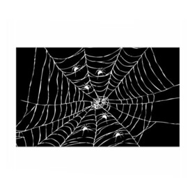 Бумага для упаковки 3D с принтом Паутина с пауками в Белгороде, пластик и полированная сталь | круглая форма, металлическое крепление в виде кольца | Тематика изображения на принте: black and white | darkness | halloween | horror | night | spider | web | готика | жуки | жуткий | мальчикам | насекомые | нечисть | нити | ночные | ночь | пауки | паутина | подарок | сетка | страшный | темный | тьма | хеллоуин | хоррор