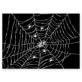 Поздравительная открытка с принтом Паутина с пауками в Белгороде, 100% бумага | плотность бумаги 280 г/м2, матовая, на обратной стороне линовка и место для марки
 | Тематика изображения на принте: black and white | darkness | halloween | horror | night | spider | web | готика | жуки | жуткий | мальчикам | насекомые | нечисть | нити | ночные | ночь | пауки | паутина | подарок | сетка | страшный | темный | тьма | хеллоуин | хоррор