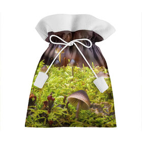 Подарочный 3D мешок с принтом Мох в Белгороде, 100% полиэстер | Размер: 29*39 см | гриб | грибы | дерево | деревья | зелёные | зелёный | зелень | лес | леса | лесной | мох | мхи | пенёк | пеньки | пни | поганка | поганки | природа | природный | флора