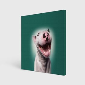 Холст квадратный с принтом Bully в Белгороде, 100% ПВХ |  | Тематика изображения на принте: bull terrier | ears | eyes | fangs | jaw | muzzle | nose | smile | бультерьер | глаза | клыки | нос | пасть | улыбка | уши