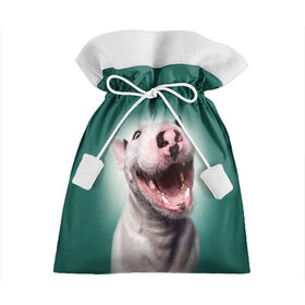 Подарочный 3D мешок с принтом Bully в Белгороде, 100% полиэстер | Размер: 29*39 см | Тематика изображения на принте: bull terrier | ears | eyes | fangs | jaw | muzzle | nose | smile | бультерьер | глаза | клыки | нос | пасть | улыбка | уши