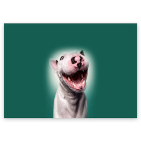 Поздравительная открытка с принтом Bully в Белгороде, 100% бумага | плотность бумаги 280 г/м2, матовая, на обратной стороне линовка и место для марки
 | bull terrier | ears | eyes | fangs | jaw | muzzle | nose | smile | бультерьер | глаза | клыки | нос | пасть | улыбка | уши