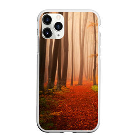 Чехол для iPhone 11 Pro Max матовый с принтом Осенний лес в Белгороде, Силикон |  | деревья | лес | листва | осенний лес | осень | природа