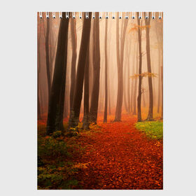 Скетчбук с принтом Осенний лес в Белгороде, 100% бумага
 | 48 листов, плотность листов — 100 г/м2, плотность картонной обложки — 250 г/м2. Листы скреплены сверху удобной пружинной спиралью | деревья | лес | листва | осенний лес | осень | природа