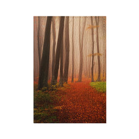 Обложка для паспорта матовая кожа с принтом Осенний лес в Белгороде, натуральная матовая кожа | размер 19,3 х 13,7 см; прозрачные пластиковые крепления | деревья | лес | листва | осенний лес | осень | природа