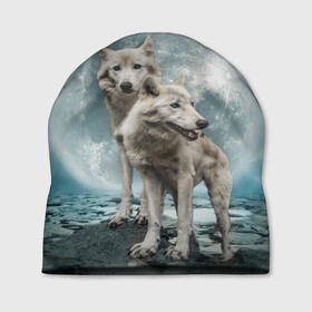 Шапка 3D с принтом Волки альбиносы в Белгороде, 100% полиэстер | универсальный размер, печать по всей поверхности изделия | альбинос | волк | волки | волчата | волчонок | зверь