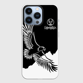 Чехол для iPhone 13 Pro с принтом Узбекистан в Белгороде,  |  | eagle | mountains | republic | silhouette | stencil | uzbekistan | горы | орел | республика | силуэт | трафарет | узбекистан