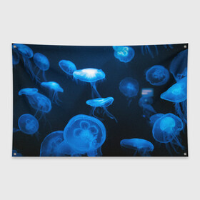 Флаг-баннер с принтом Медуза в Белгороде, 100% полиэстер | размер 67 х 109 см, плотность ткани — 95 г/м2; по краям флага есть четыре люверса для крепления | medusozoa | медуза | медузы | морское животное | ядовитая медуза