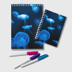 Блокнот с принтом Медуза в Белгороде, 100% бумага | 48 листов, плотность листов — 60 г/м2, плотность картонной обложки — 250 г/м2. Листы скреплены удобной пружинной спиралью. Цвет линий — светло-серый
 | Тематика изображения на принте: medusozoa | медуза | медузы | морское животное | ядовитая медуза