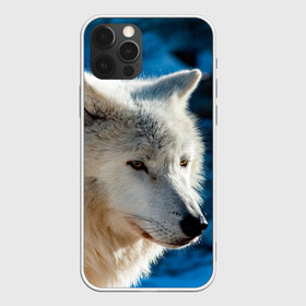 Чехол для iPhone 12 Pro Max с принтом Северный волк в Белгороде, Силикон |  | Тематика изображения на принте: wolf | wolfs | волк | волки | волчара | животные | звери | лес | природа