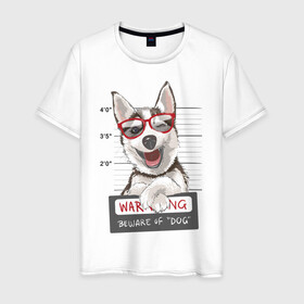 Мужская футболка хлопок с принтом МИЛЫЙ ХАСКИ в Белгороде, 100% хлопок | прямой крой, круглый вырез горловины, длина до линии бедер, слегка спущенное плечо. | dog | husky | добрый | милый | пес | песик | собака | собчака | хакси
